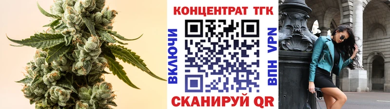купить   Дегтярск  ТГК концентрат 